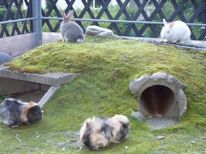 [Thumbnail for 7c8a8e76748cc7c91b1147167a5524f9.jpg]