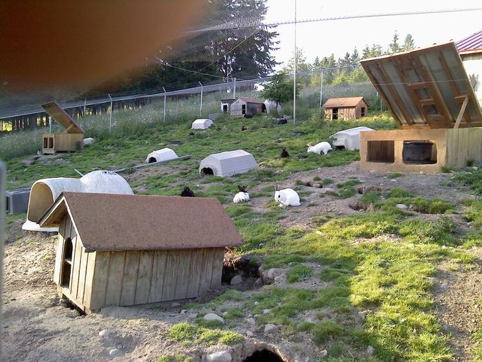 [Thumbnail for f528a3a991b7670a1c7b8cebeda1b8ae-3106254867.jpg]