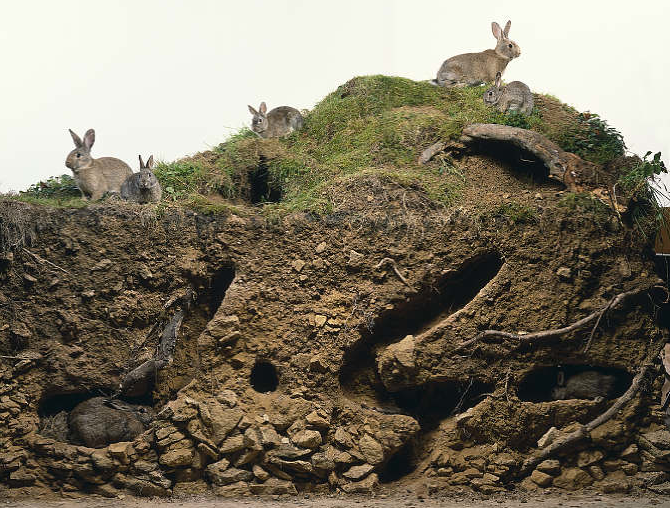 [Thumbnail for d51ad7336940a20e1f94eb5f5865e4af-1920638985.png]