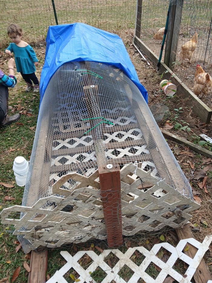 [Thumbnail for 1000001341.jpg]