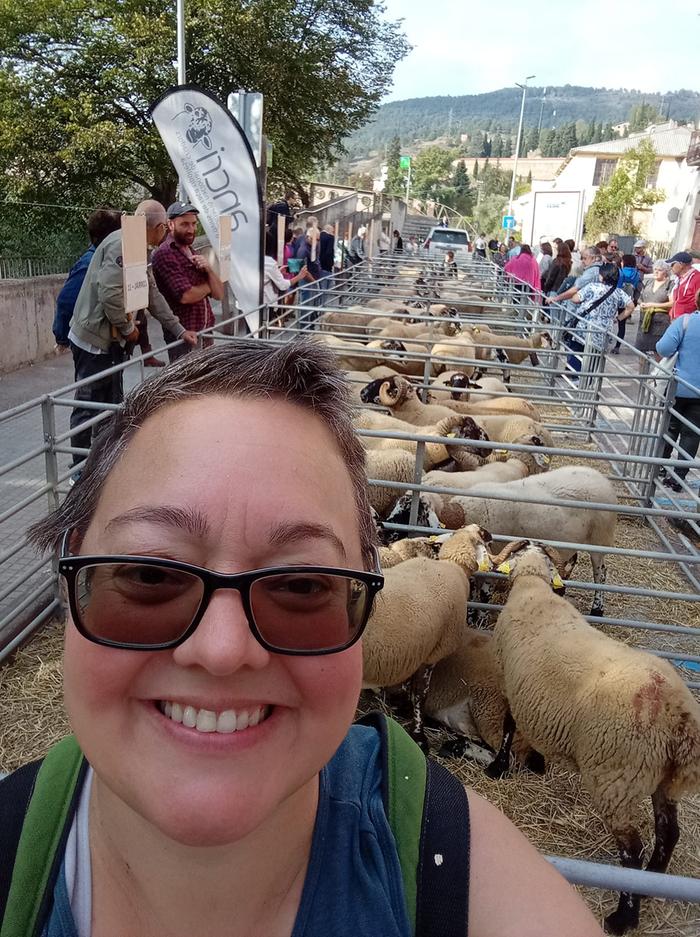 Happy person standing in front of sheep at the fair
