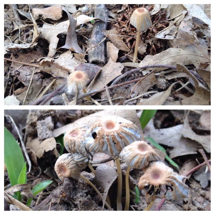 [Thumbnail for image.jpg]