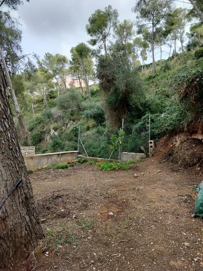 [Thumbnail for EastViewCubellesTinySite.jpg]