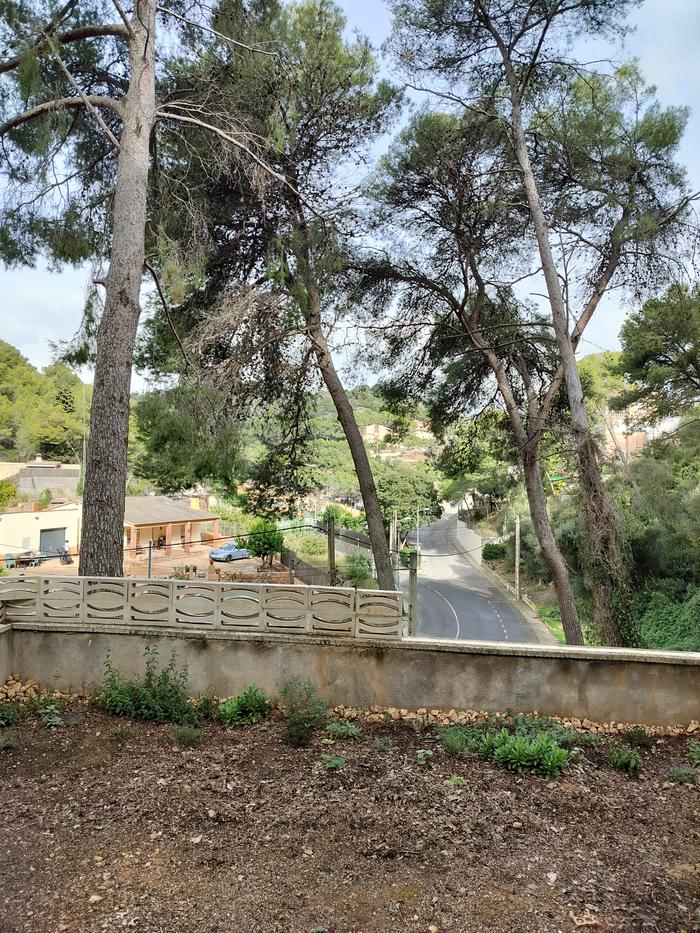 [Thumbnail for NorthViewCubellesTinySite.jpg]