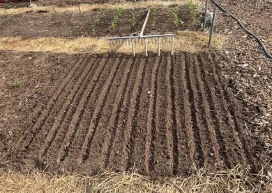 [Thumbnail for 5073E599-271D-4FC9-AE26-3C6663F907E1_4_5005_c.jpeg]