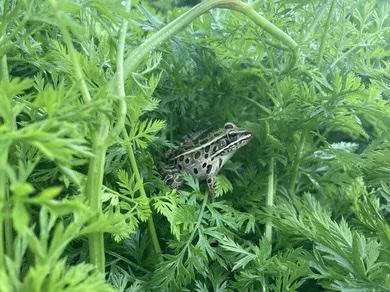 [Thumbnail for FC990723-6324-47F5-BD02-5440F917E2D7_4_5005_c.jpeg]