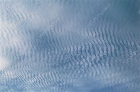 [Thumbnail for A00EC9CE-8874-467C-A6ED-53431AF89645_4_5005_c.jpeg]