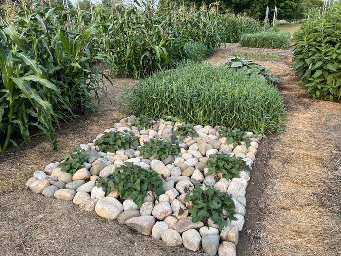 [Thumbnail for F412D79C-544D-4D50-82E9-7C9F8CE25065.jpeg]