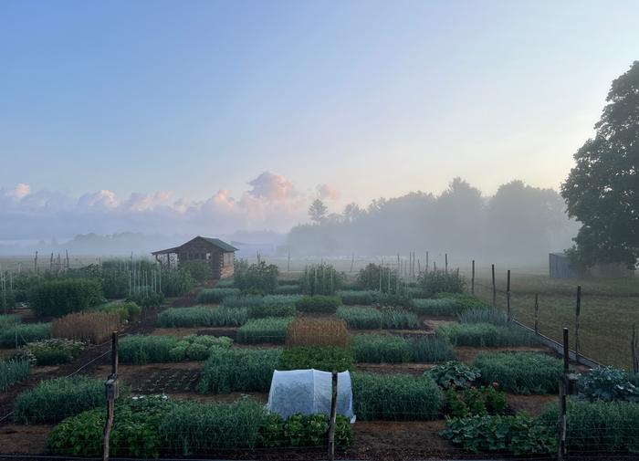 [Thumbnail for C239A66F-31A8-4526-8C20-4C16CF2F45CC_1_201_a.jpeg]