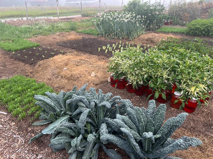 [Thumbnail for 9AAD8A1E-B5D1-4277-AA03-E673D13E6F94.jpeg]