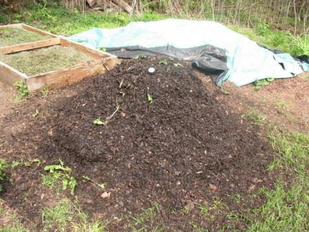 [Thumbnail for 2014-05-13-10.17.21-w.jpg]