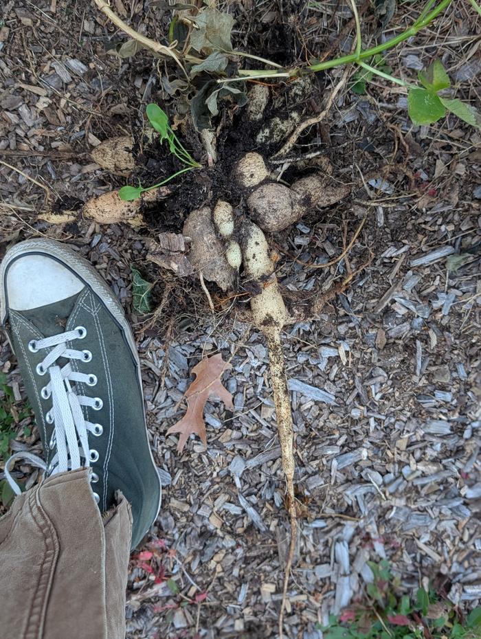 [Thumbnail for PXL_20251116_212717202.PORTRAIT.jpg]