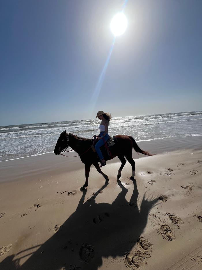 [Thumbnail for IMG_6311.jpeg]