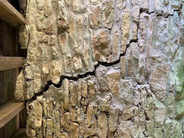 [Thumbnail for IMG_0439.jpg]