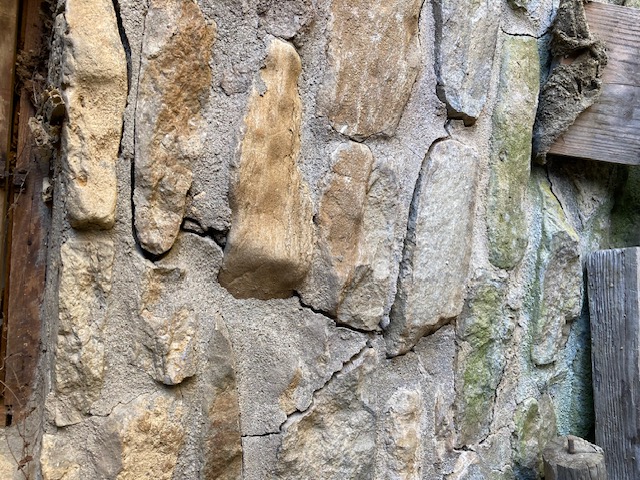 [Thumbnail for IMG_0440.jpg]