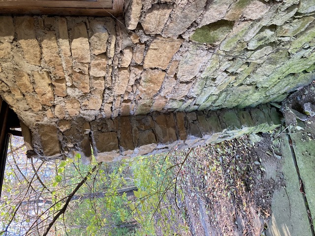 [Thumbnail for IMG_0441.jpg]