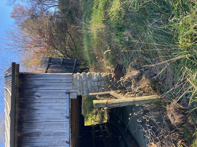 [Thumbnail for IMG_0443.jpg]