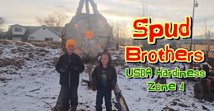 [Thumbnail for spud-brothers-pic.JPG]