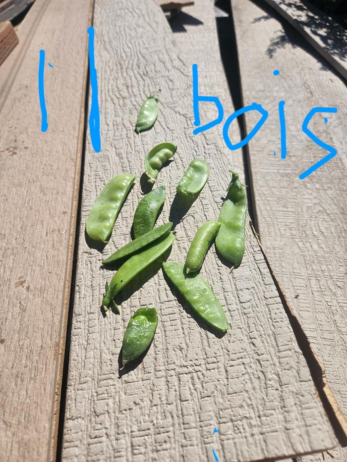 More peas