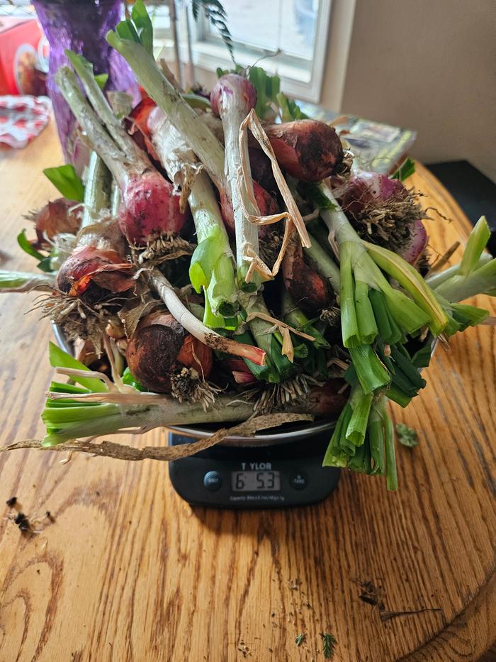 [Thumbnail for 20251002_112315.jpg]