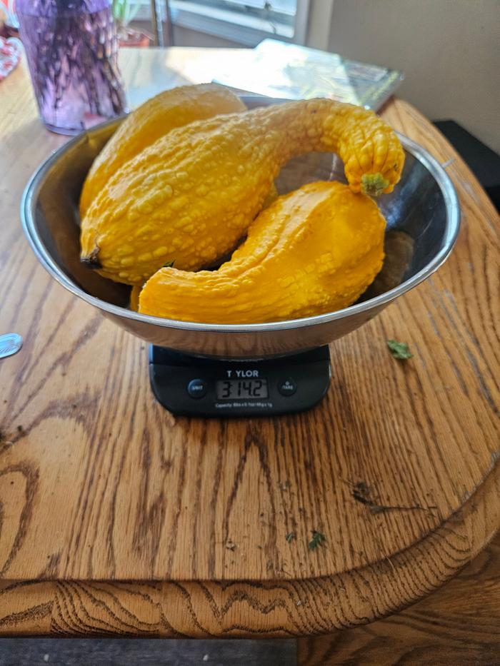 3 pounds pictured here