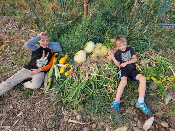 Fresh sweet corn, being sat on here. But recorded well in video