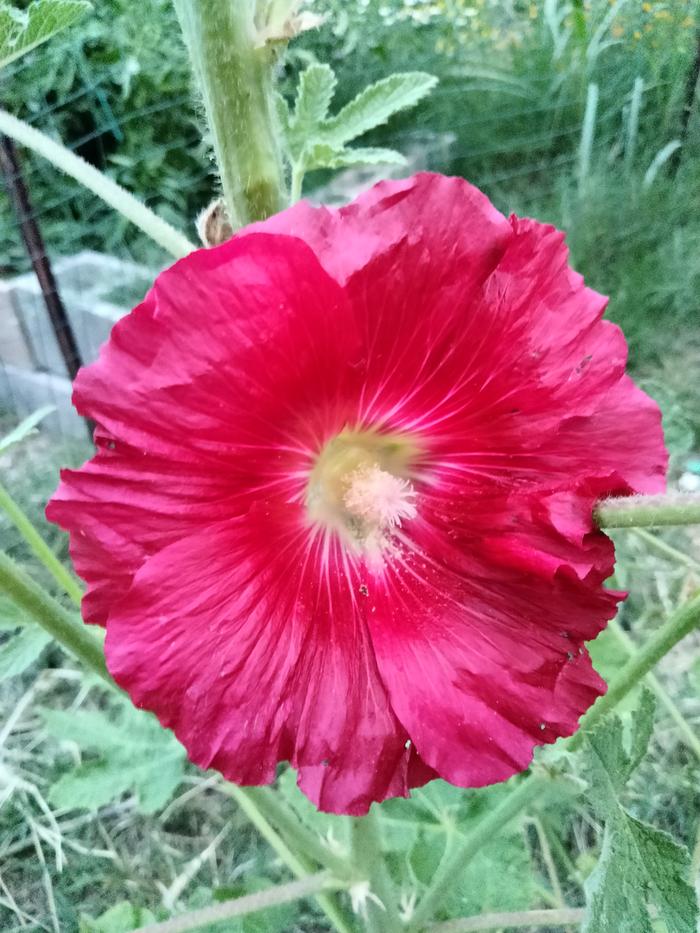 [Thumbnail for IMG20230528202330.jpg]