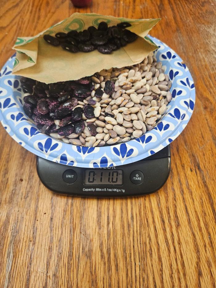 [Thumbnail for 20251021_193716.jpg]