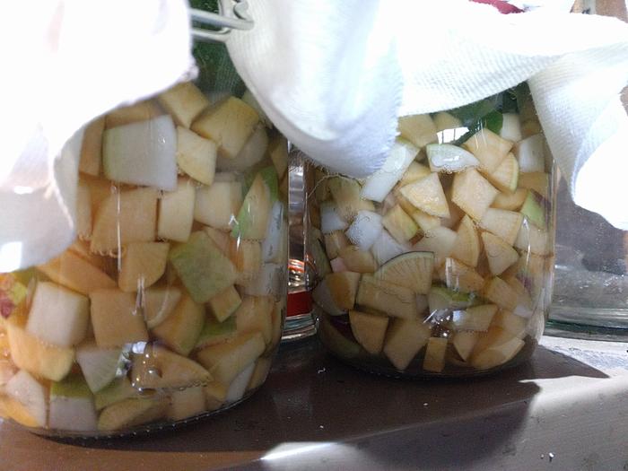 rutabaga ferment - bubbles on day 2