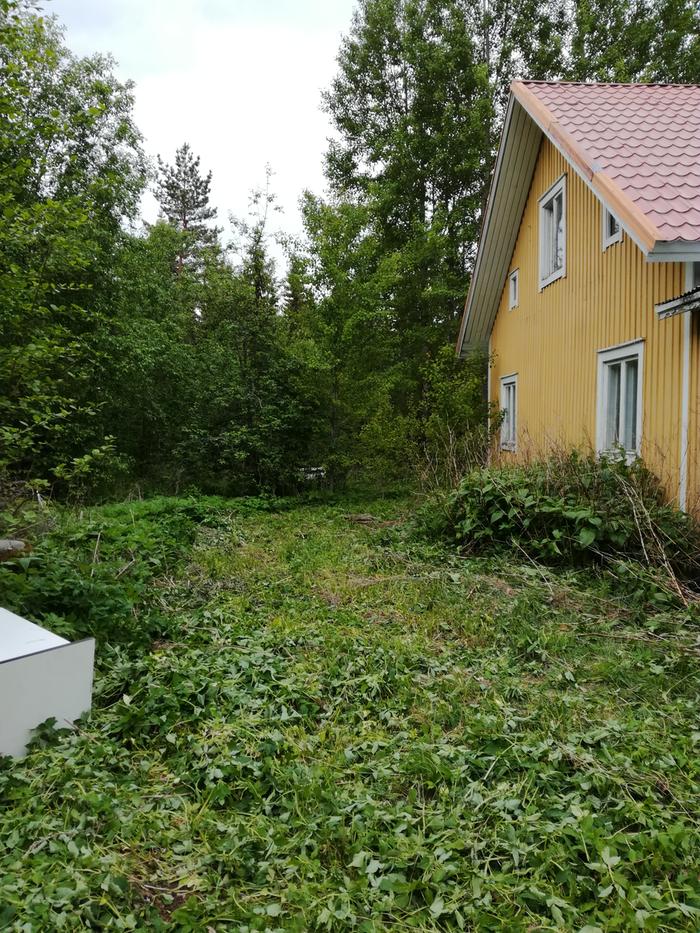 [Thumbnail for Yard-Before.jpg]