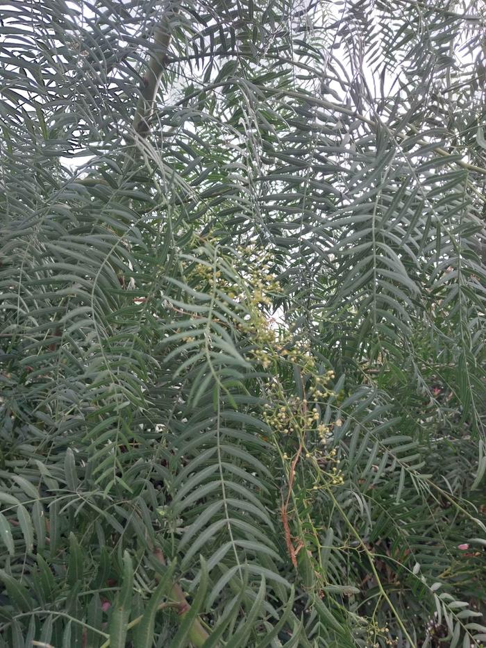 [Thumbnail for 20251121_105953.jpeg]