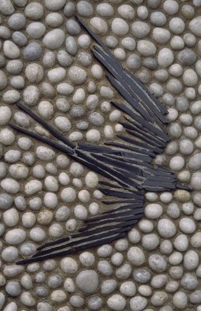 Slate mosaic bird