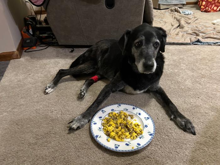 [Thumbnail for IMG_3538.jpeg]