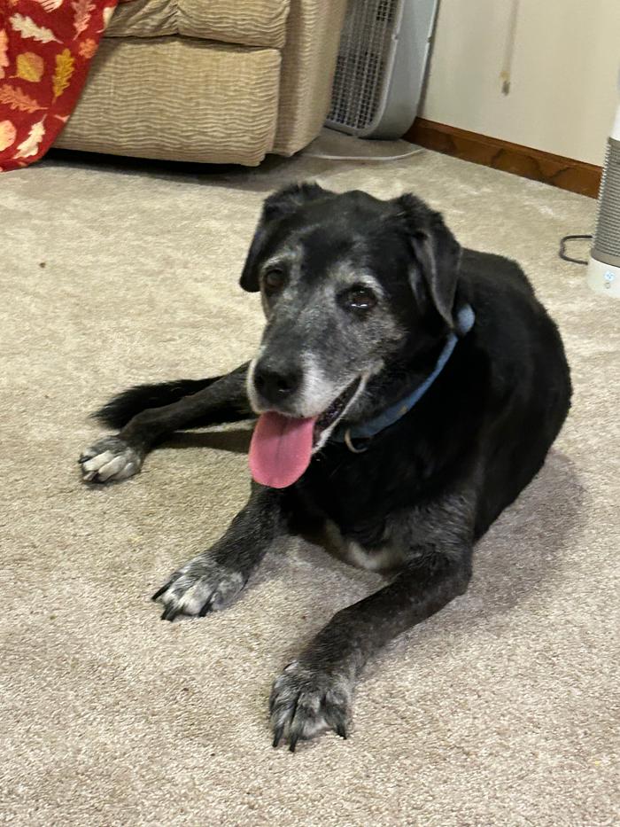 [Thumbnail for IMG_3541.jpeg]