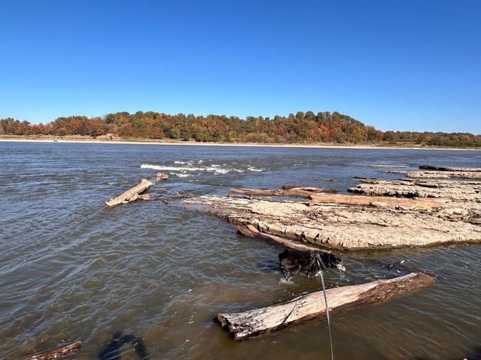 [Thumbnail for IMG_2501.jpeg]