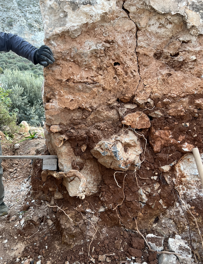 [Thumbnail for 1.png]