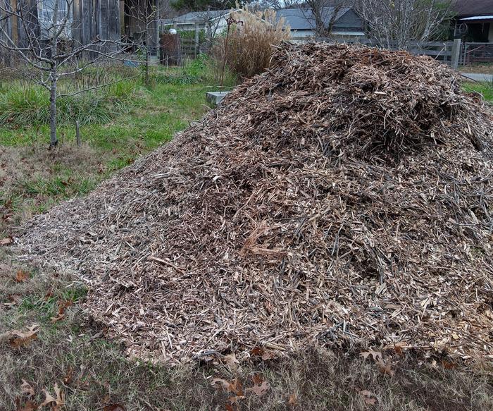 [Thumbnail for IMG_20251125_144538_904-2.jpg]