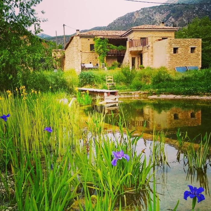 [Thumbnail for Main-Building_Naturalpond.jpg]