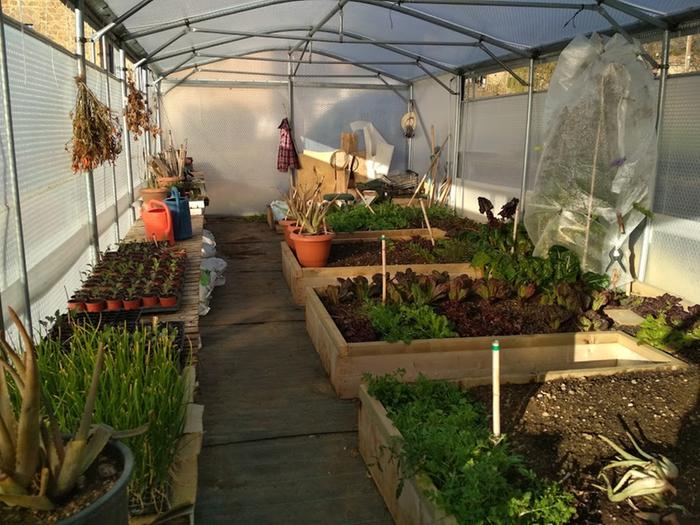 Keder Greenhouse for year-round cultivation shared with micro-community