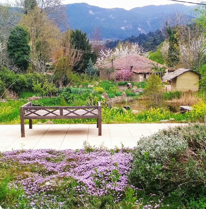 main building's terrace overlooking natural pond and hangout 
