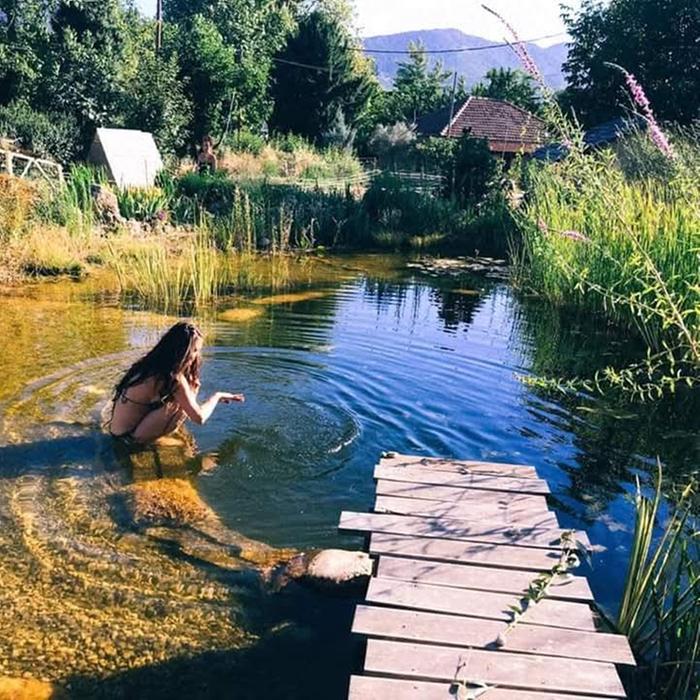 Natural swimming pond 