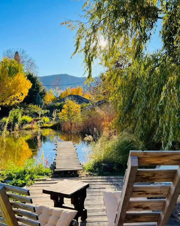 Natural swimming pond and deck 