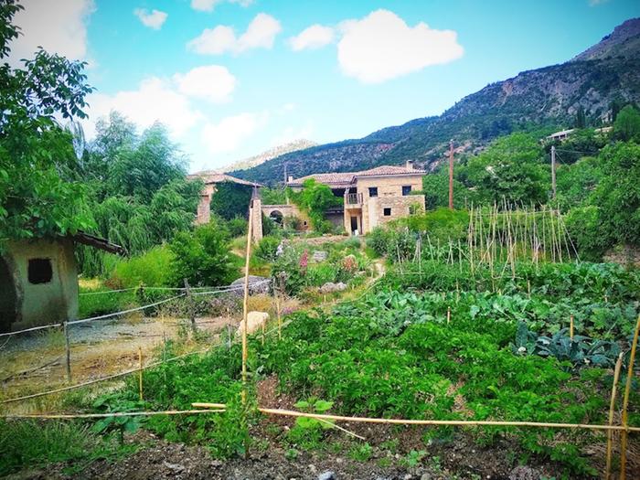 Permaculture gardens