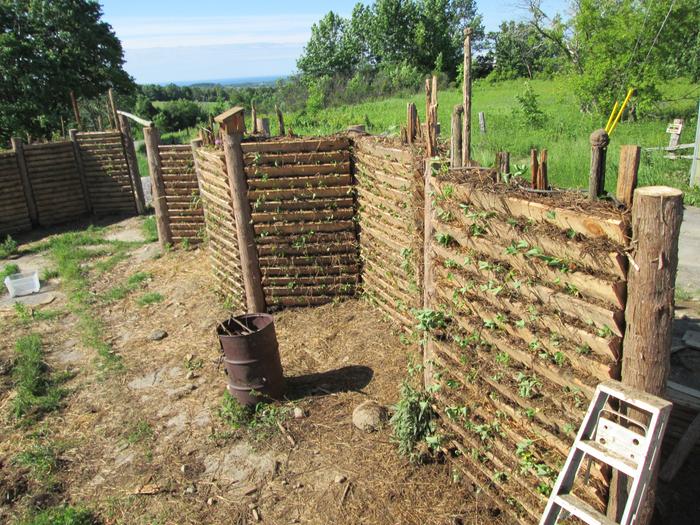 Vertical Garden Wall
