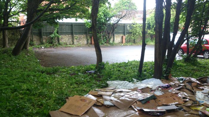 [Thumbnail for DSC_0551.jpg]