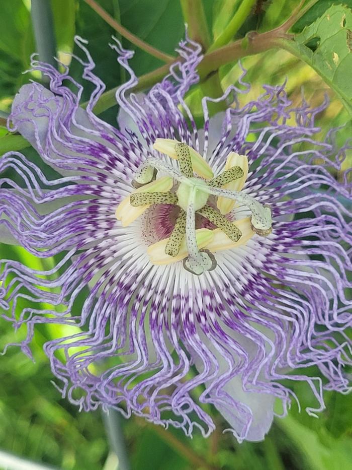 [Thumbnail for Resized_20240818_183058.jpeg]