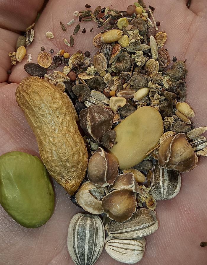 Seed ball type seed mix