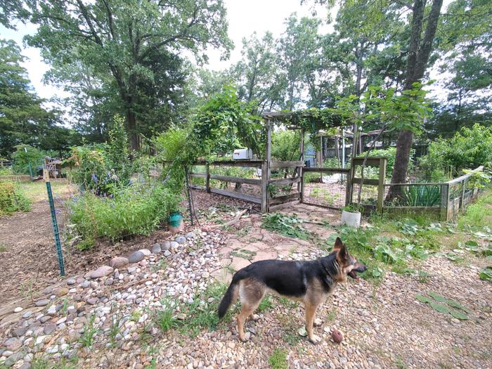 [Thumbnail for 2025-05-27-16-07-47-709.jpg]