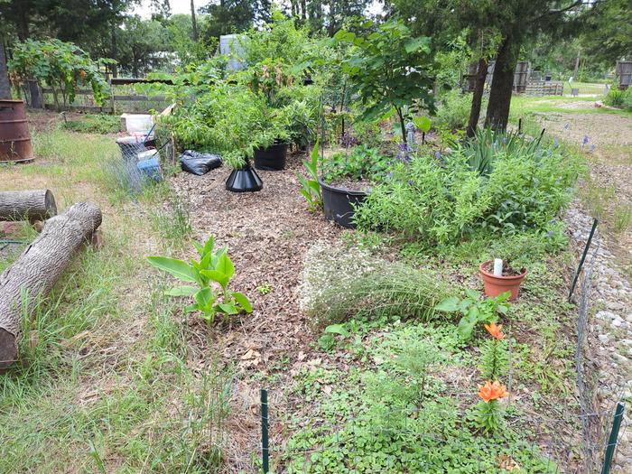 [Thumbnail for 2025-05-27-16-07-18-552.jpg]