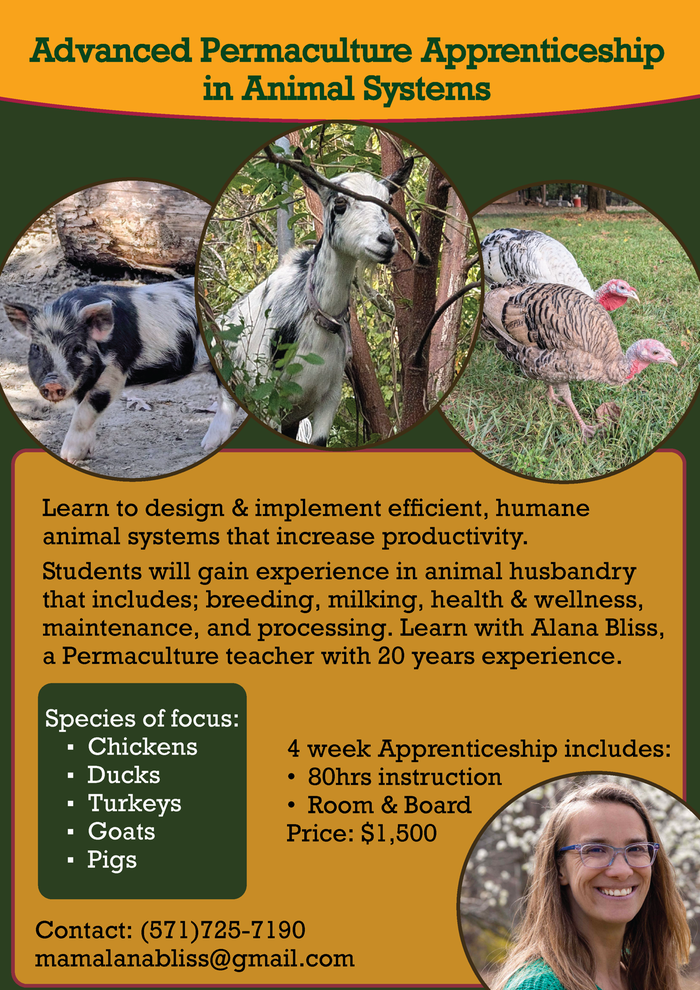 [Thumbnail for animal_apprenticeship_25.png]